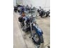 2001 Harley-Davidson Softail for sale 201247812
