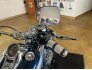 2002 Harley-Davidson Softail for sale 201190487