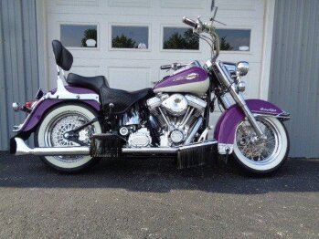 2002 Harley-Davidson Softail