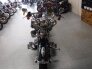 2002 Harley-Davidson Softail for sale 201165142