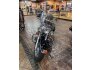2002 Harley-Davidson Softail for sale 201304662