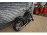 2002 Harley-Davidson Softail for sale 201341895