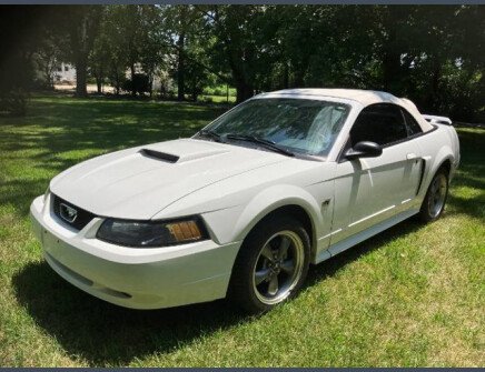 Photo 1 for 2003 Ford Mustang GT