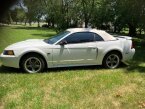 Thumbnail Photo 6 for 2003 Ford Mustang GT