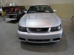 2003 Ford Mustang Cobra Coupe for sale 102024130