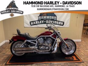 2003 Harley-Davidson V-Rod Anniversary for sale 201218863