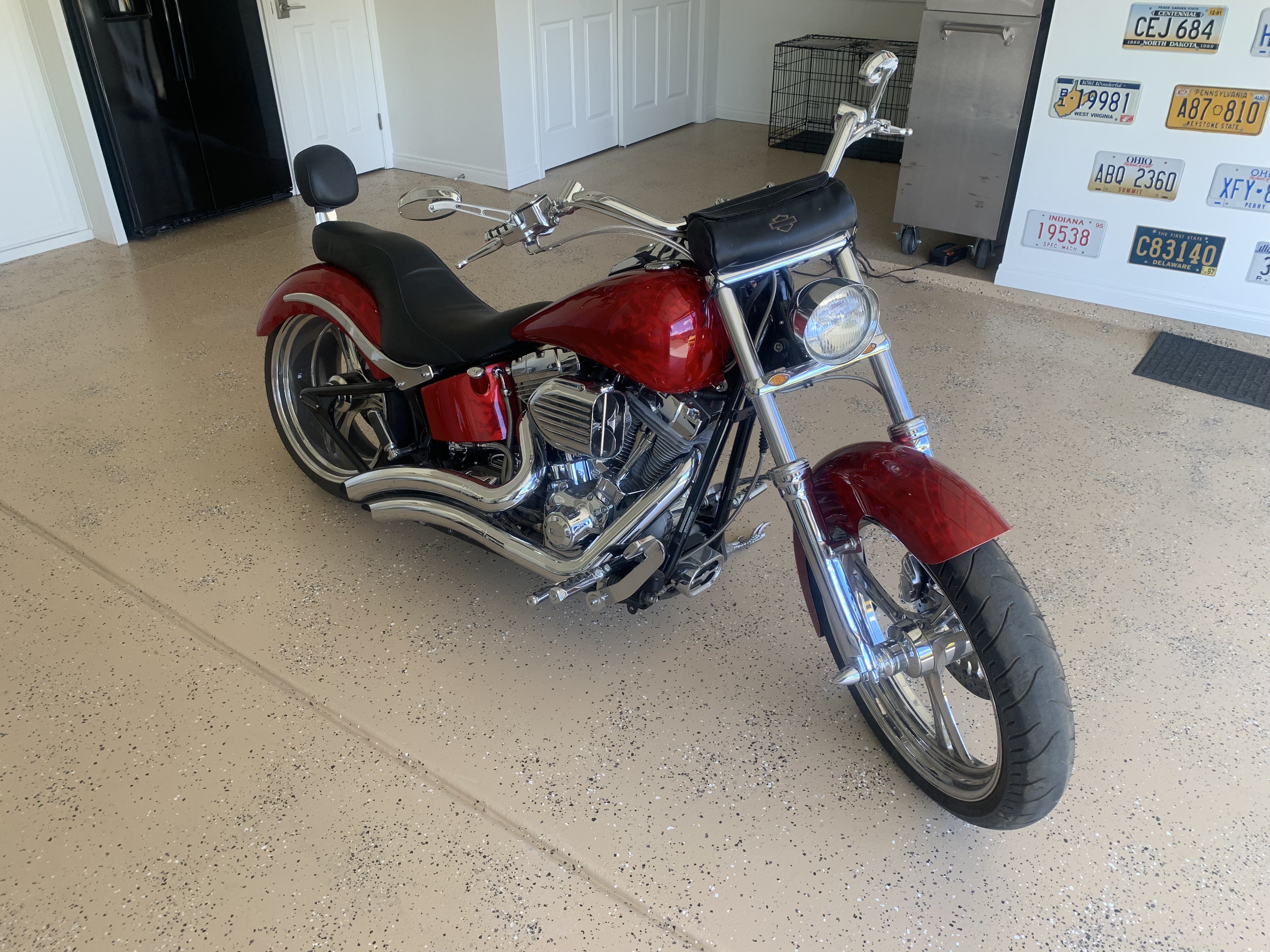 Harley softail deals custom for sale