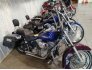 2003 Harley-Davidson Softail Standard Anniversary for sale 201267179