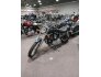 2003 Harley-Davidson Sportster 1200 Custom Anniversary for sale 201144607