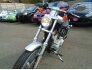 2003 Harley-Davidson Sportster for sale 201259443