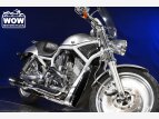 Thumbnail Photo 4 for 2003 Harley-Davidson V-Rod Anniversary