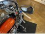 2003 Honda Shadow Ace Deluxe for sale 201255013