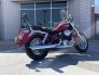 2003 Honda Shadow Ace Deluxe for sale 201287879