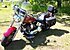 2004 Harley-Davidson Softail for sale 200791885