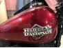2004 Harley-Davidson Softail for sale 201200306