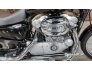 2004 Harley-Davidson Sportster 883 Custom for sale 201269545
