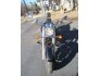 2004 Yamaha V Star 1100 for sale 201217335