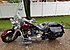 2005 Harley-Davidson Softail for sale 201102391