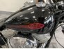 2005 Harley-Davidson Softail for sale 201258098