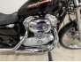 2005 Harley-Davidson Sportster for sale 200999790