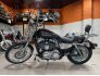 2005 Harley-Davidson Sportster for sale 201146505