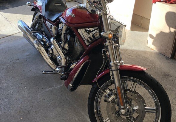 harley davidson v rod for sale near me