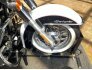 2005 Harley-Davidson Softail for sale 201302587