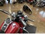2005 Harley-Davidson Softail for sale 201318021