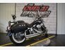 2005 Harley-Davidson Softail for sale 201351496