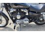 2005 Harley-Davidson Sportster for sale 201264958