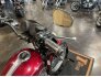 2005 Harley-Davidson Sportster for sale 201282124