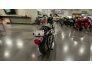 2005 Harley-Davidson Sportster for sale 201324178