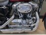 2005 Harley-Davidson Sportster for sale 201361672