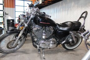 2005 Harley-Davidson Sportster for sale 201572128