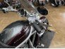 2005 Harley-Davidson V-Rod for sale 201365566