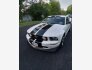 2006 Ford Mustang GT for sale 101783295
