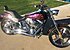 2006 Harley-Davidson Softail for sale 200623675