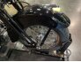 2006 Harley-Davidson Softail for sale 201168084