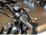 2006 Harley-Davidson Softail for sale 201298477