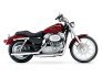 2006 Harley-Davidson Sportster for sale 201249950
