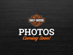 2006 Harley-Davidson Sportster for sale 201301071