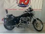 2006 Harley-Davidson Sportster for sale 201316348
