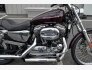 2006 Harley-Davidson Sportster for sale 201317839