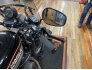 2006 Harley-Davidson Sportster for sale 201325665