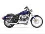 2006 Harley-Davidson Sportster for sale 201405252