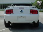 Thumbnail Photo 6 for 2007 Ford Mustang GT