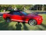 2007 Ford Mustang Shelby GT500 Convertible for sale 100762504