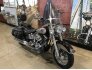 2007 Harley-Davidson Softail for sale 201205140