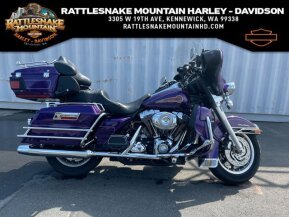 2007 Harley-Davidson Shrine for sale 201328090