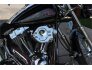 2007 Harley-Davidson Softail Custom for sale 201320179